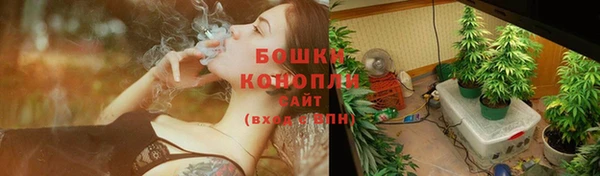 ПСИЛОЦИБИНОВЫЕ ГРИБЫ Алексеевка