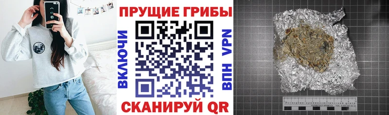 наркошоп  Энем  Галлюциногенные грибы Cubensis 